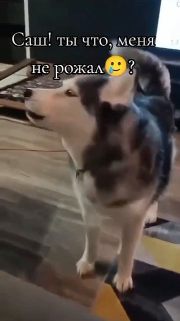 🤣🤣🤣🤣😂🤐😂