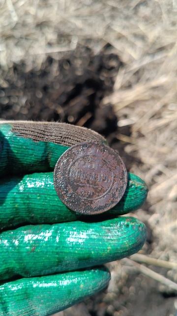 5 копеек #поискмонет #монеты #equinox900 #equinox #minelab #металлоискатель