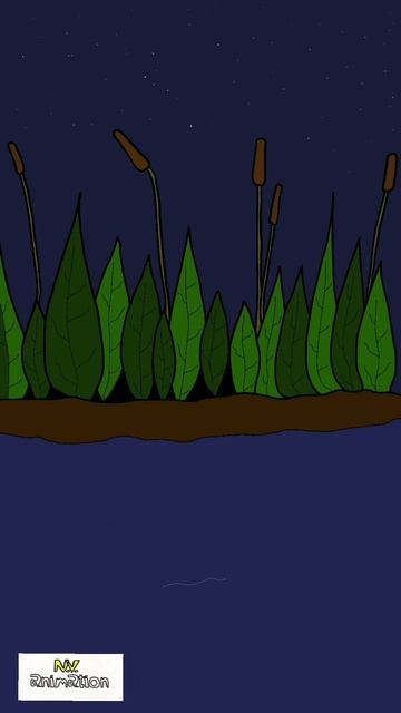 D37ea1e868284d9631a9bedc9e12551c