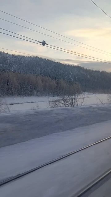 Романтика электричек