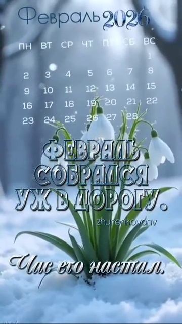 Доброе утро