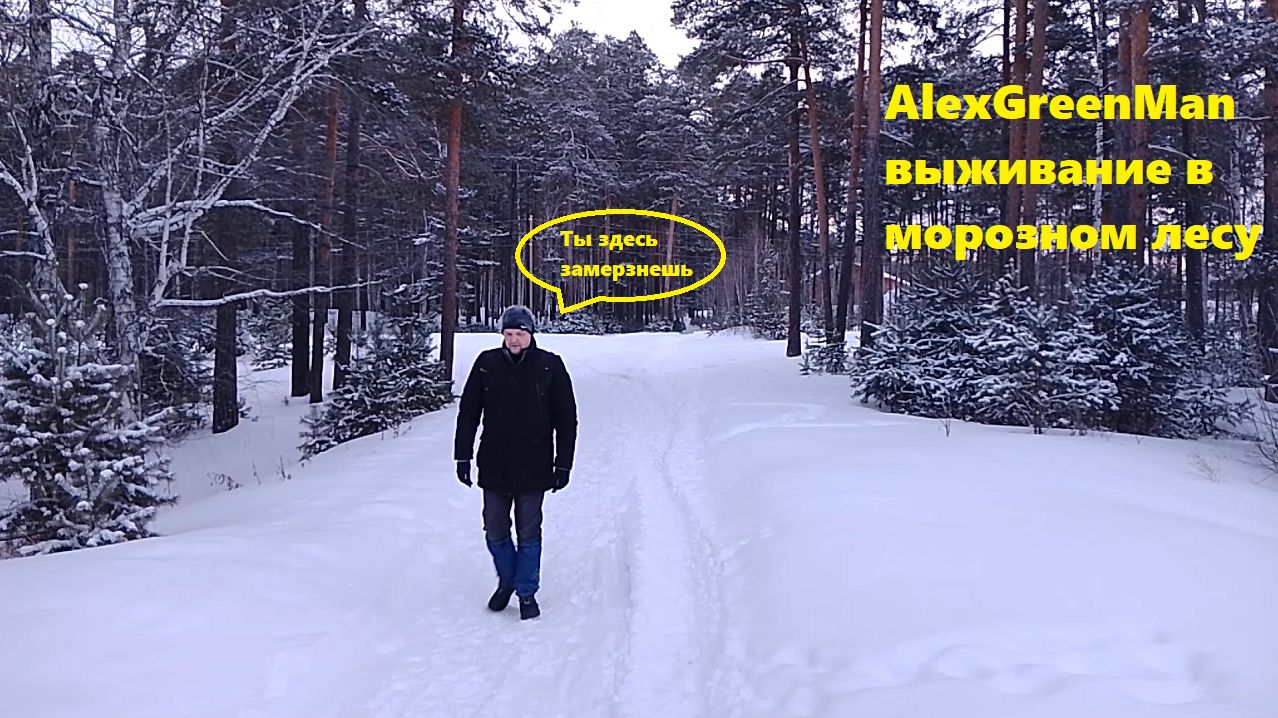 Выживание в морозном лесу