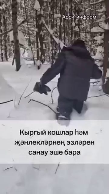 Пошилар өчен махсус сукмак салына икәнен белә идегезме?