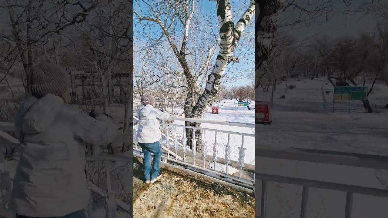 Оренбург. Берёза или нет?