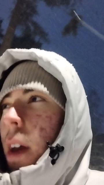 Что выбрать из автомобилей в России в 2026 году?