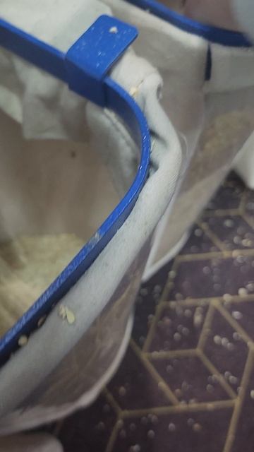 очистка пастернака разделение на Сепараторе АэроДинамическим САД