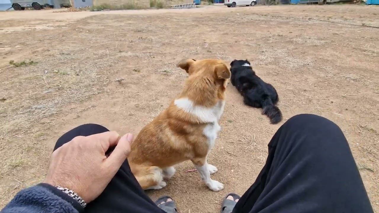 Поездка на ЮГ - Серия 15 - Крым - Тарханкут   тестируем солнечную батарею Top ON 80Вт