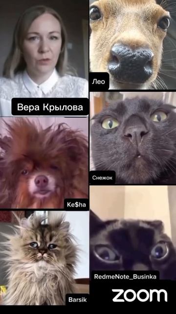 95a3019a4b1d008f713f642f890a1765