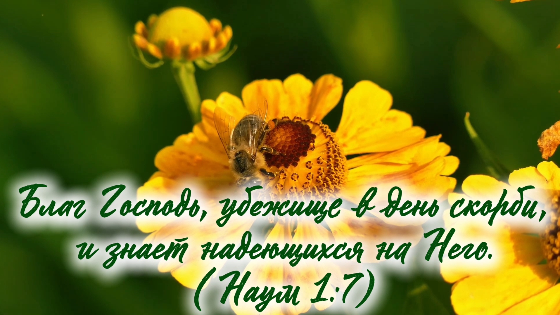 Больше жизни! 🙏💕🌷 | стихи христианские