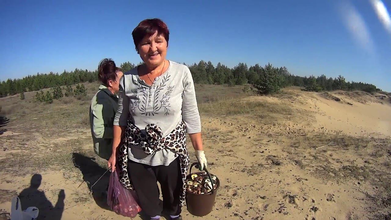 Прогулка по осеннему лесу