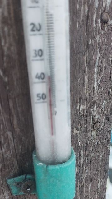 Ba139605fb0511a6bfe7e47916ea60ea