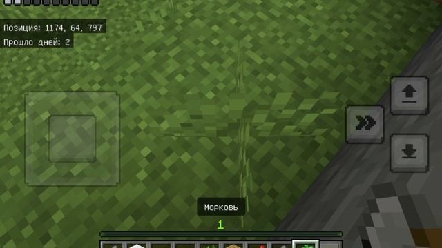 Играю с братом на хордкор в майнкрафт