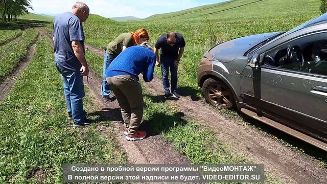 майский гряземес 2025 пос Горный