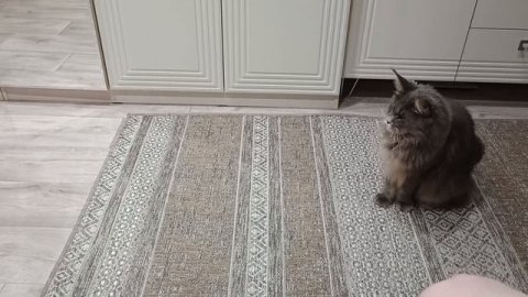 Игрулька