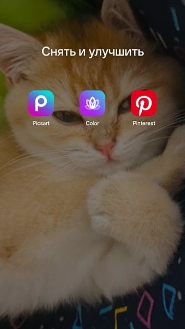 смотрю мемы про Смешариков.