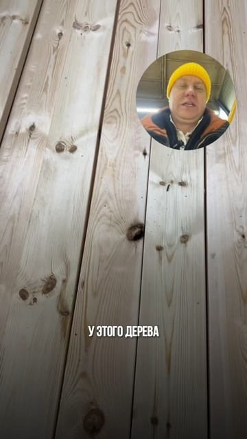 Сортность - какие бывают пороки древесины