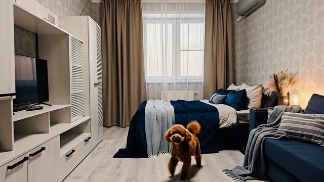 Двухкомнатная на Стаханова 59 посуточно от Терра48