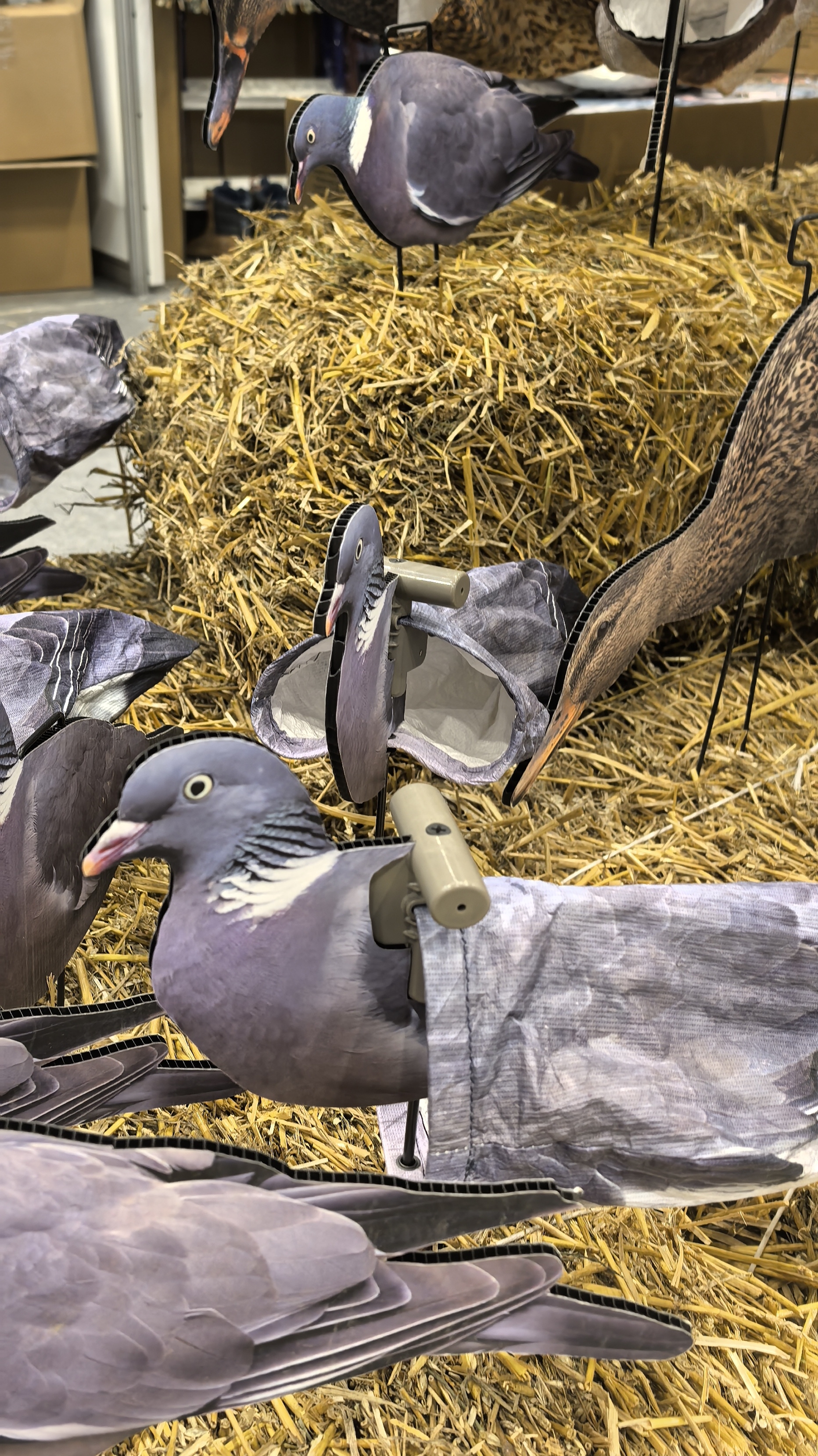 Весна 2026 🌱 таял снег  и Backstage короля