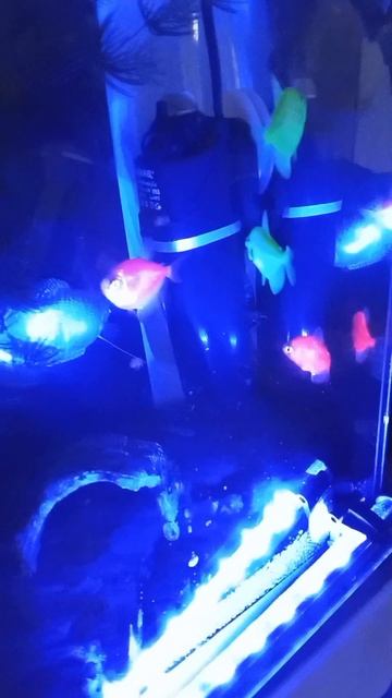 Красота подводного мира 🐠🐟#Красотаподводногомира #ASMRрыбки #подводныймир #shorts