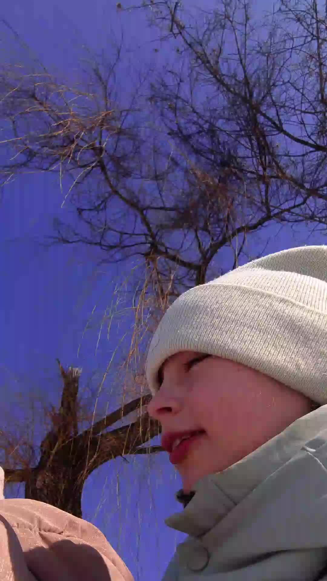 король и шут