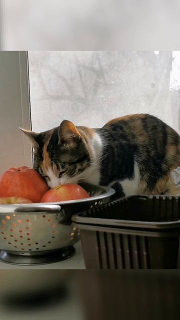 Запахло весной