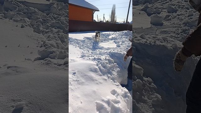 1. Первое видео