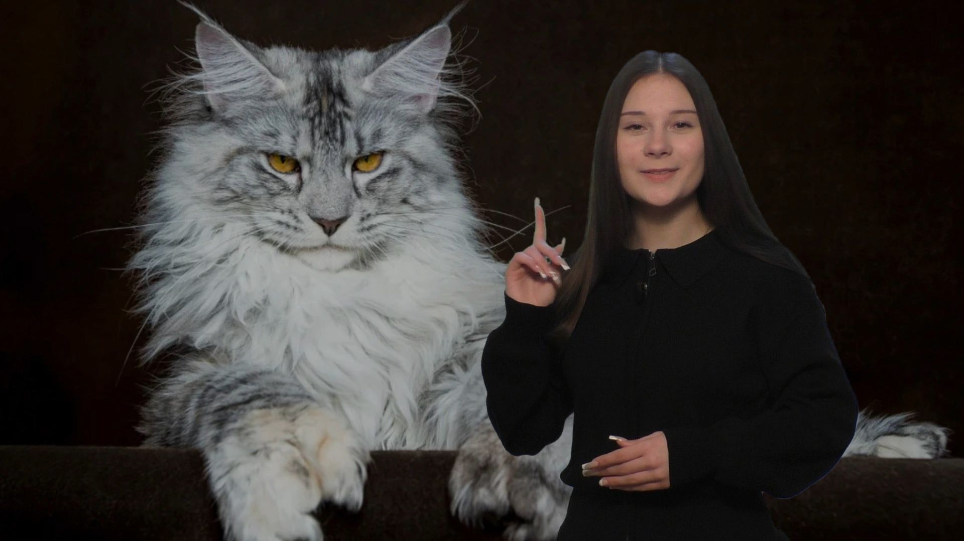 1 марта - День Кошек (в кадре Кира Сметанина)