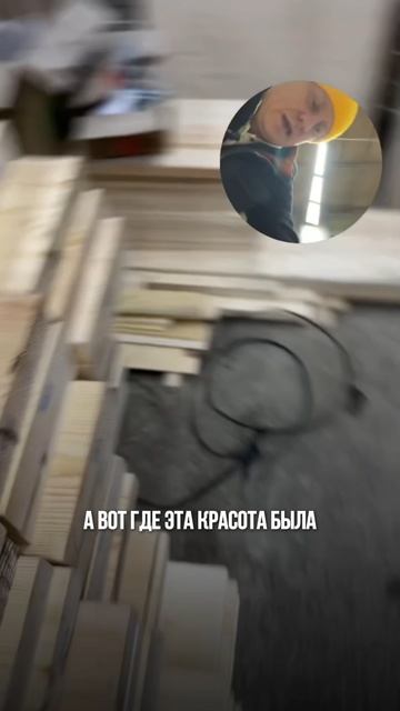 Ликбез: ядро и заболонь