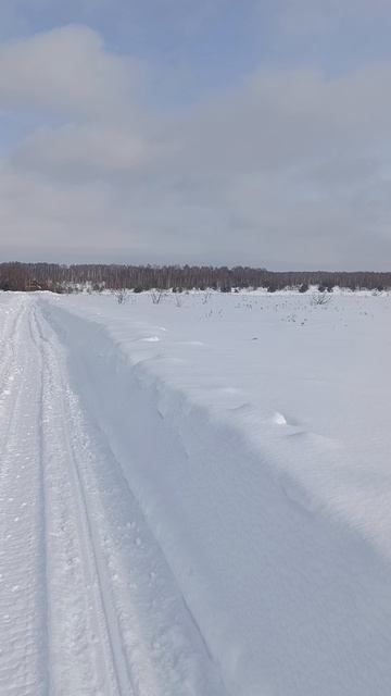 Земля От Государства_Локация №5