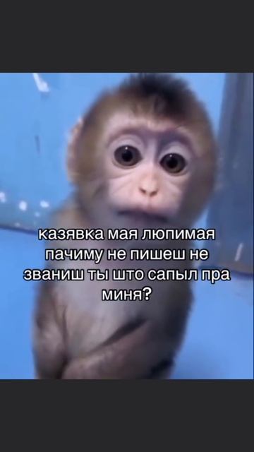 отмечай😉 [8:21]
#ник #nikketbaget_officialaccount #nikketbaget #nik #где_актив #где_подписчики #го_а