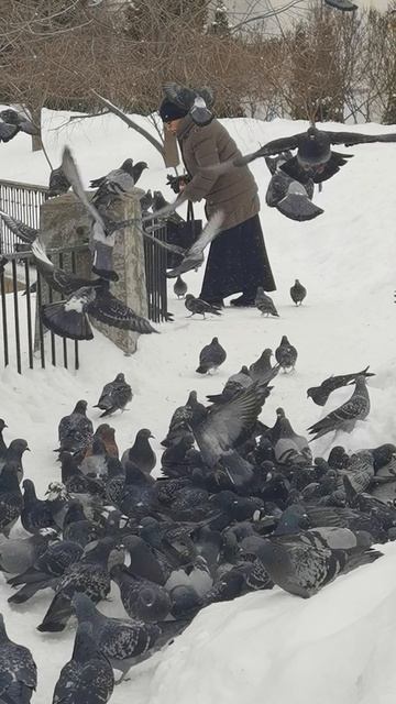 VID_20260227_154023.mp4