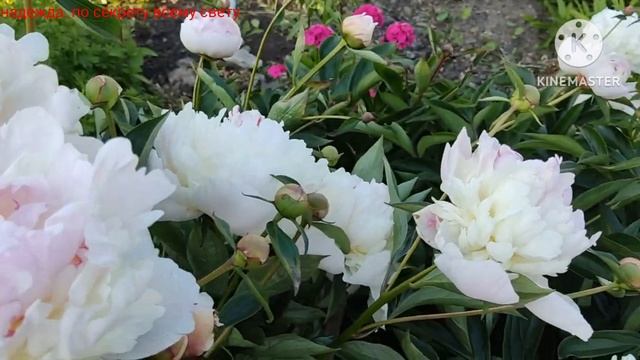 МОЙ ДОМ- РОССИЯ!!!