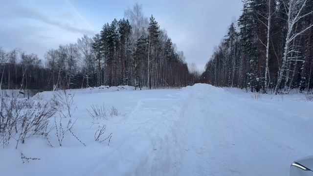 Земля Совушки