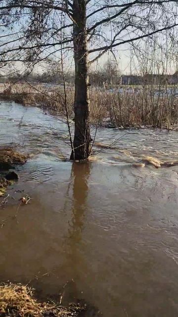 Паводок в Одельске