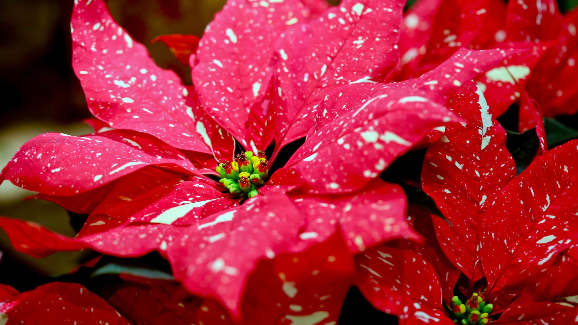 D3db9bd2b9348a9b8855523c999ccfe9