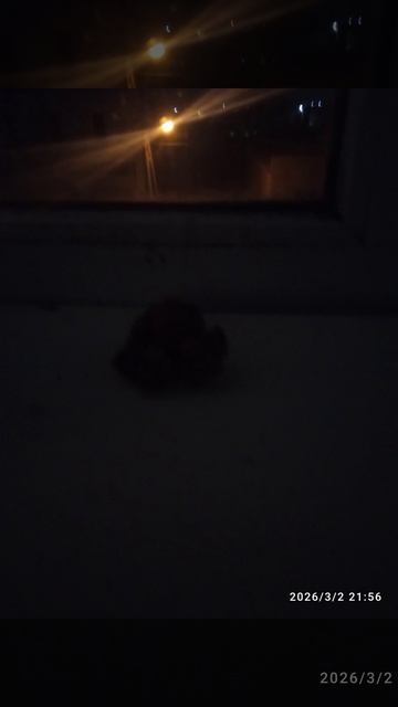 69047ac7a20706c751c6ca45241270b8