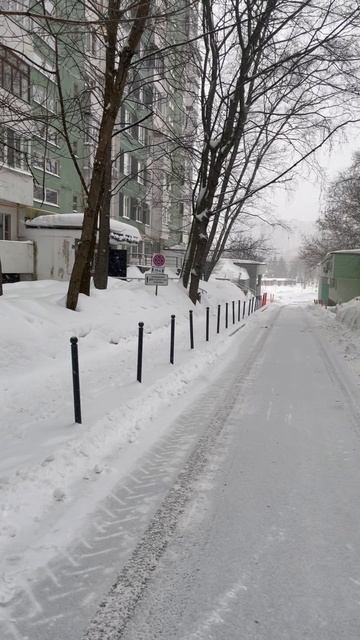 Дом Нади Шевелевой