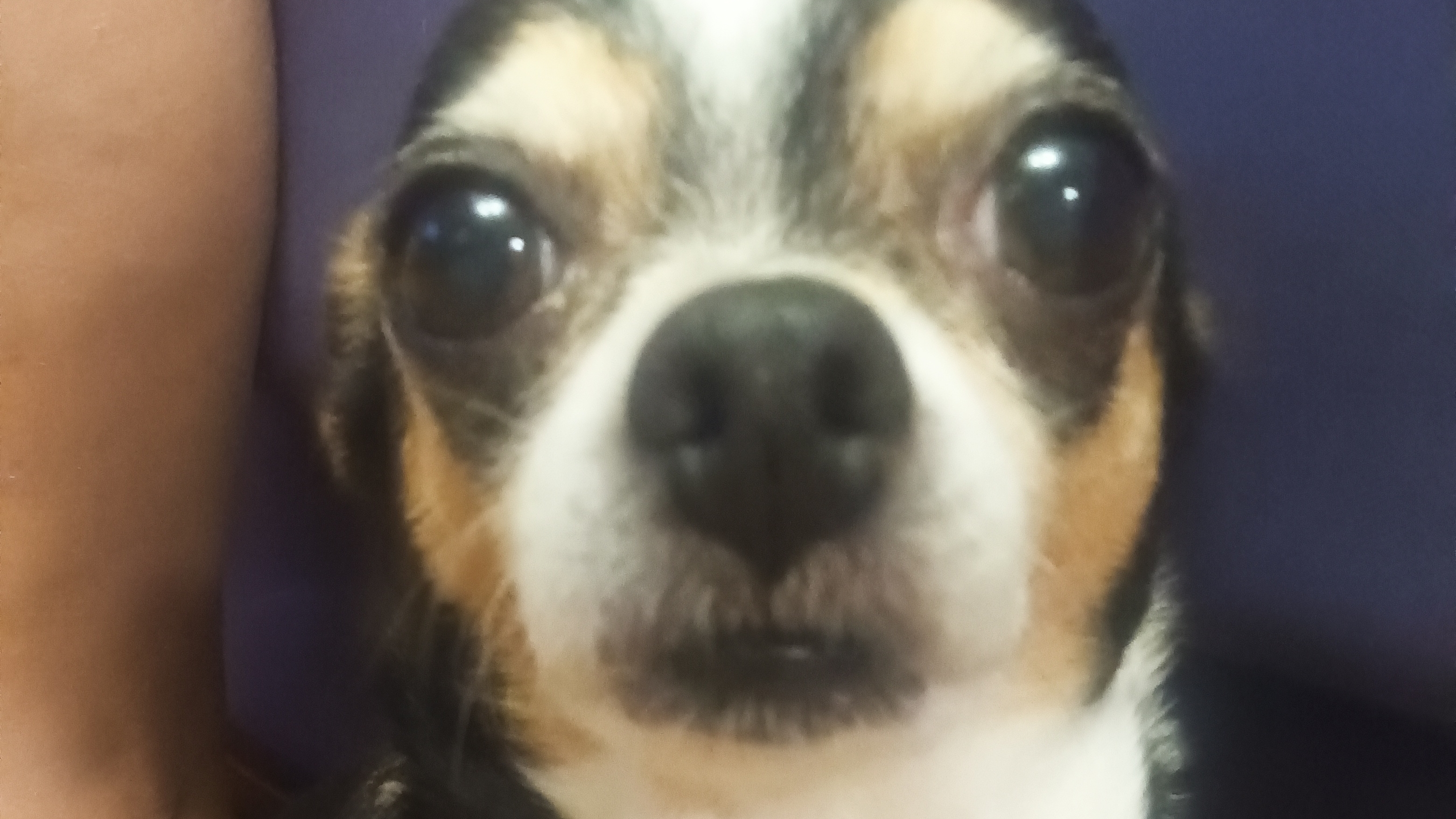 подпишись пж