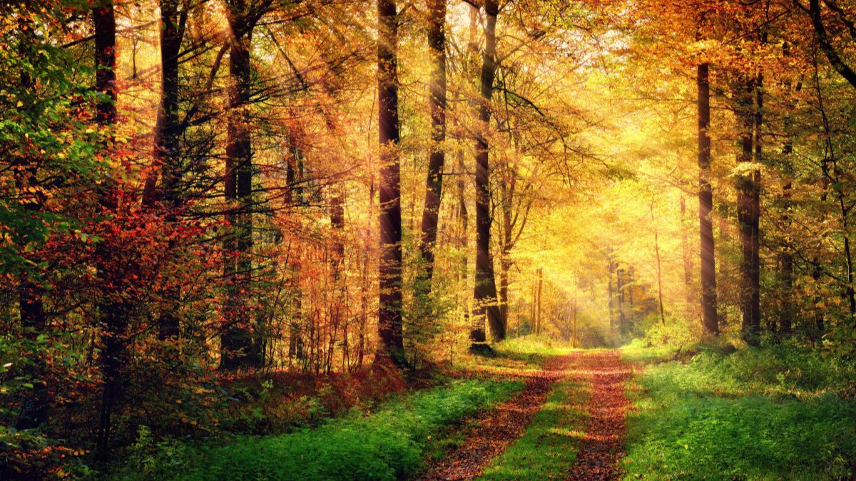 2b4b33859a57b0d8b9496f33a3a55f19