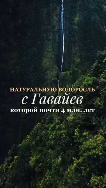 Пишите «СПИРУЛИНА» я расскажу, где заказать оригинал ❤️🔥