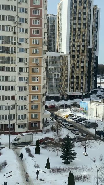 LiveJournal - 23.02.2026 Просто утро, просто день... (Москва, Солнцево Парк)