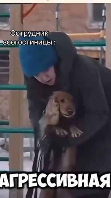 🤣🤣🤣 юмор от нас