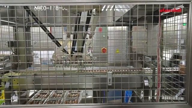 Выкладка сосисок с помощью дельта-роботов