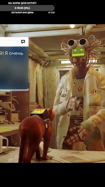 Кот встречает Дока!! 🤖👨🔬😸 #stray #straycat #shorts #shortvideo