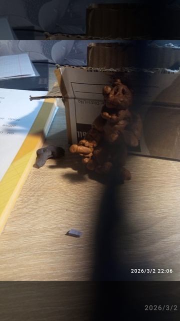 98f7aa8437bbaf1e1263330b4c4b4e29