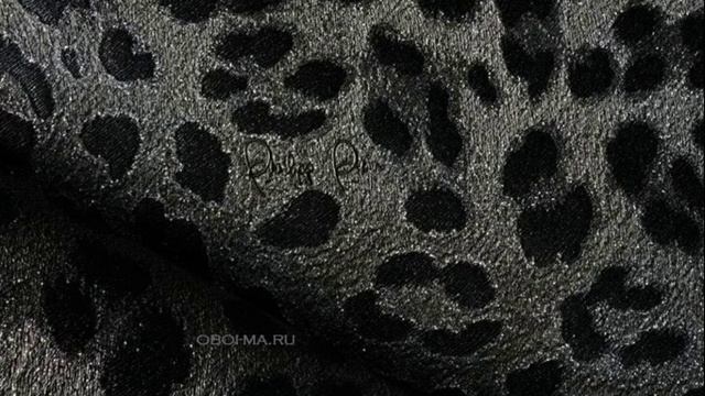 Zambaiti Parati Philipp Plein 2