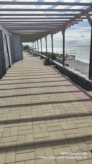 02.03.2026 Лазаревское. Пляж Дельфин