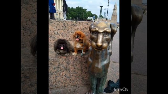 Ролик ко Дню Рождения нашего друга Чума от его мамы Юли