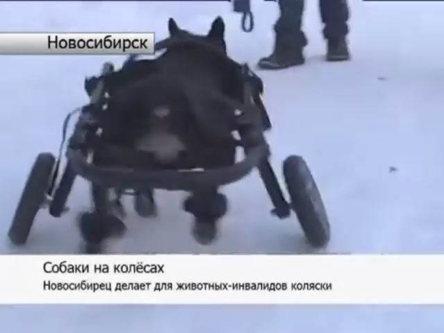 VID_20250215_152929_511