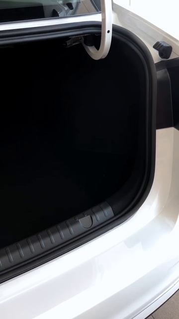 S50 январь Mp4